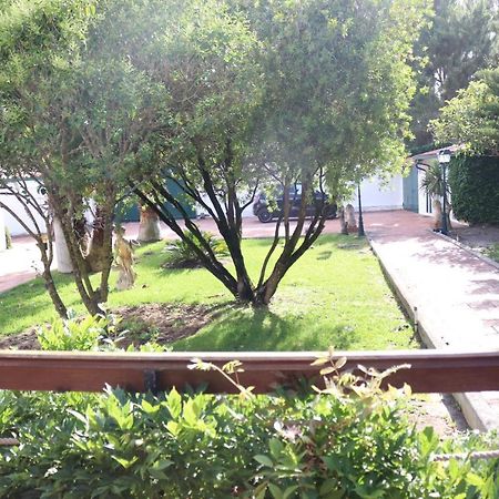 A Quinta Duna Salir de Porto エクステリア 写真