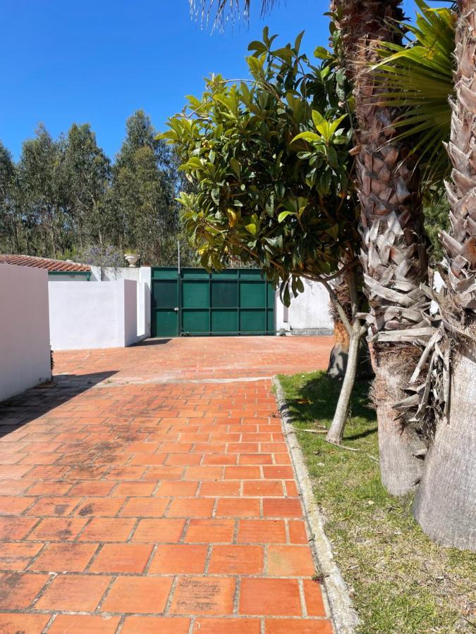 A Quinta Duna Salir de Porto エクステリア 写真
