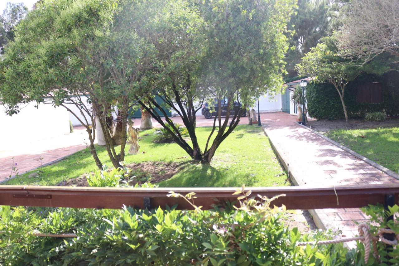 A Quinta Duna Salir de Porto エクステリア 写真