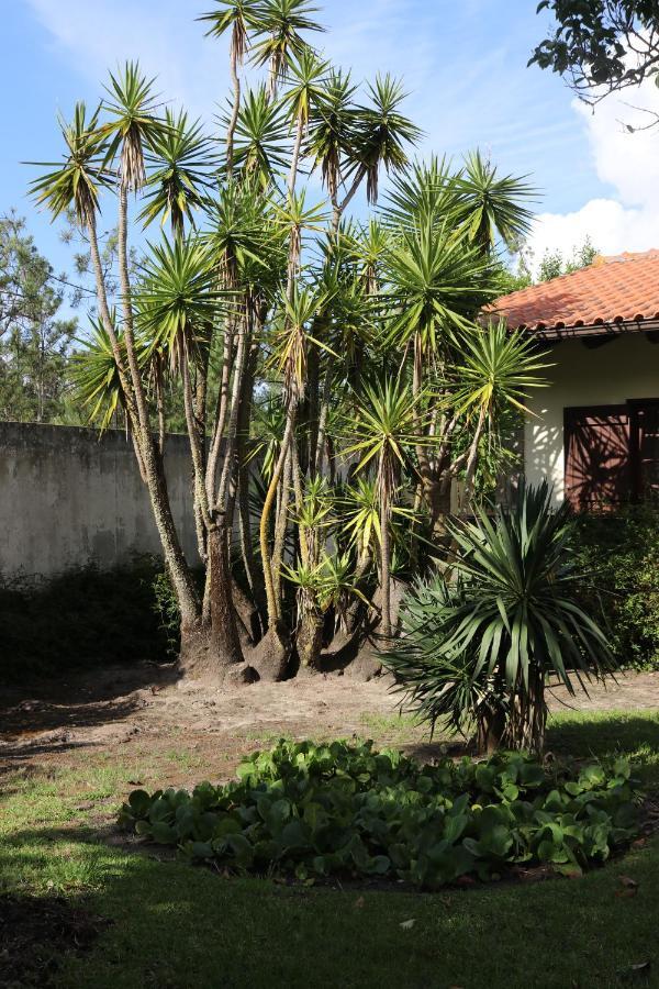 A Quinta Duna Salir de Porto エクステリア 写真