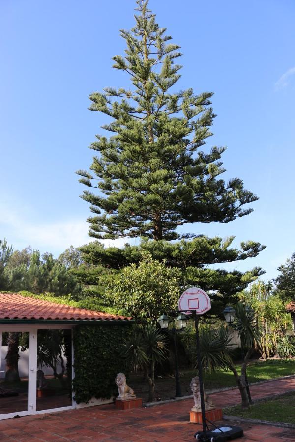 A Quinta Duna Salir de Porto エクステリア 写真